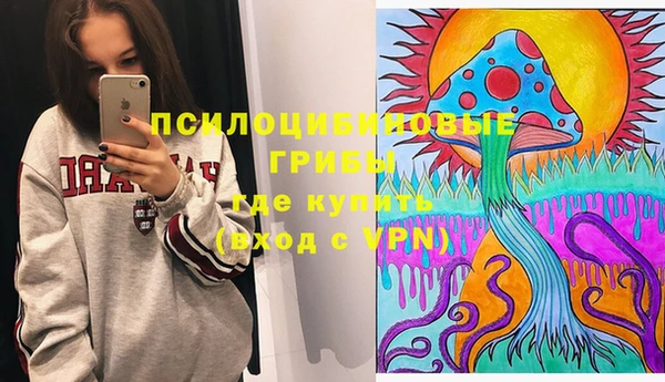 сатива Абаза
