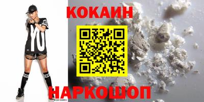 крисы Моздок