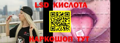 крисы Моздок