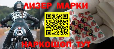 крисы Моздок