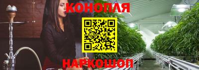 крисы Моздок