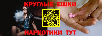 крисы Моздок