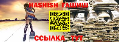 крисы Моздок