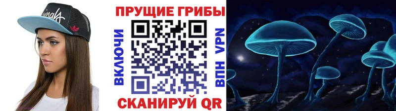 Псилоцибиновые грибы прущие грибы  хочу   Волоколамск 