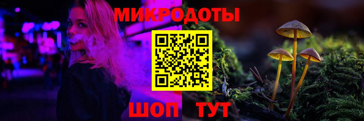 Псилоцибиновые грибы Cubensis Волоколамск